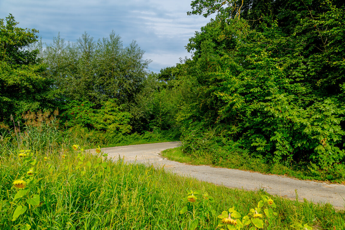 Image: _JA 40707 Natur pur .jpg